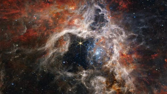 Телескоп Джеймс Уэбб сфотографировал туманность Тарантул, где рождаются звезды