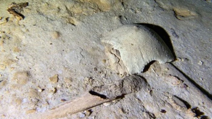 В Мексике археологи нашли скелет доисторического человека (видео)