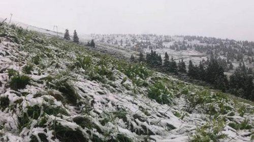 В Карпатах в эти выходные может выпасть снег