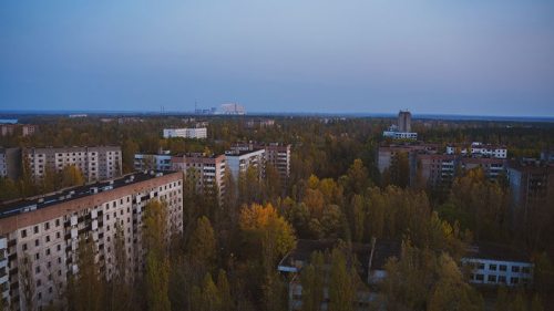 В Чернобыле показали редкую гнездовую птицу: в заповеднике их всего 10...