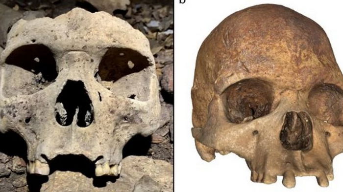 В Африке обнаружили модифицированные человеческие черепа 500-летней давности