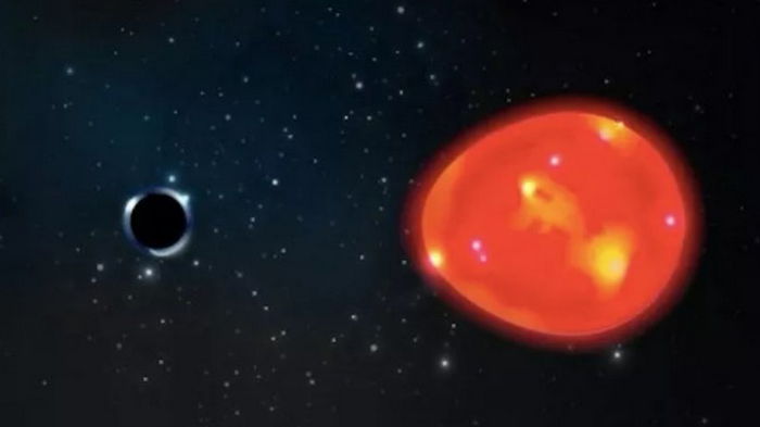 В 1500 световых годах от Земли найден крохотный «единорог», – ученые
