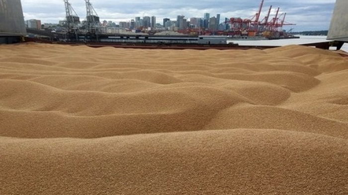 Украина за полгода продала 18 млн тонн зерна