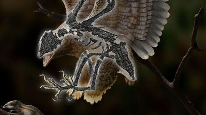 Палеонтологи нашли птицу с головой динозавра