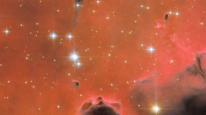 Красная туманность Душа с молодыми звездами: опубликовано новое фото от телескопа «Хаббл»