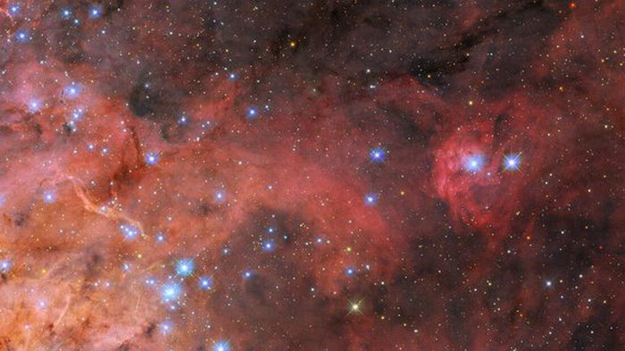 Как выглядит скопление голубых звезд в соседней галактике – фото телескопа «Хаббл»
