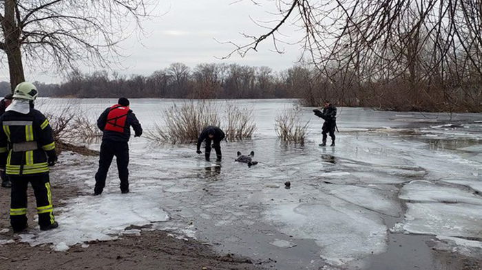 В Киеве погиб рыбак, провалившийся под лед
