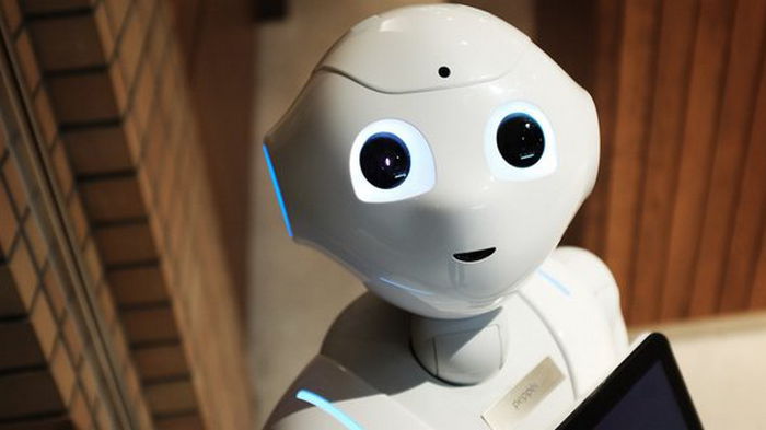 Роботы будут выполнять до 39% домашних дел к 2033 году – исследование