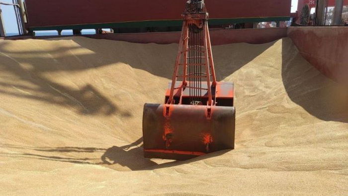 Украина доставит судно с пшеницей в Кению и Эфиопию