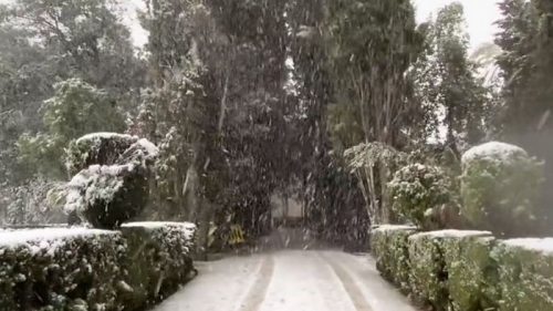 В Испании курортную Майорку накрыл мощный снегопад