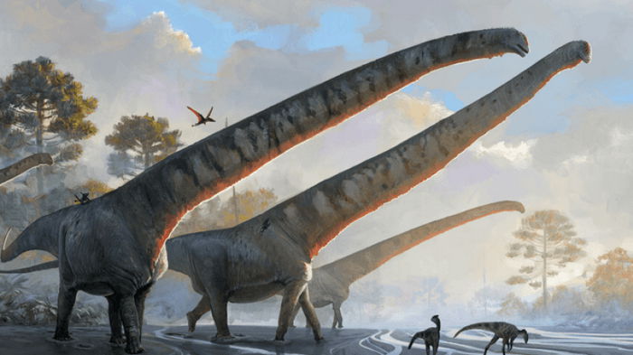 Более 15 м в длину. Ученые обнаружили останки динозавра с самой большой шеей среди всех животных