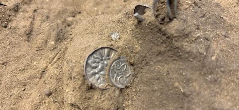 Раскопанное прошлое викингов: в Дании обнаружили похищенное древними мореплавателями сокровище короля