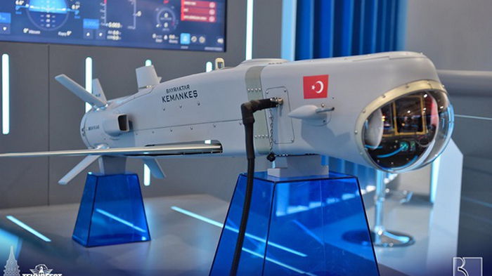 В Турции показали новый боеприпас для Bayraktar