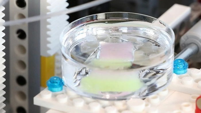 Ученые создали машину из Lego, которая может выращивать человеческую кожу