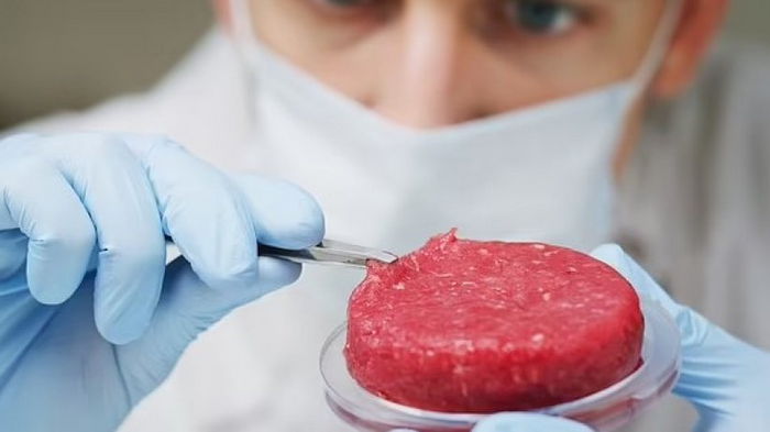 Провалили тест на экологичность: почему мясо, выращенное в лаборатории, хуже настоящего