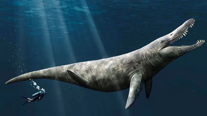 Океан рассекали гиганты: ученые выяснили точный размер чудовищ юрских морей