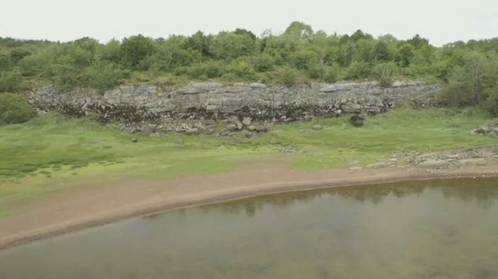 Построили 3200 лет назад: в парке Ирландии за деревьями скрывалась древняя крепость