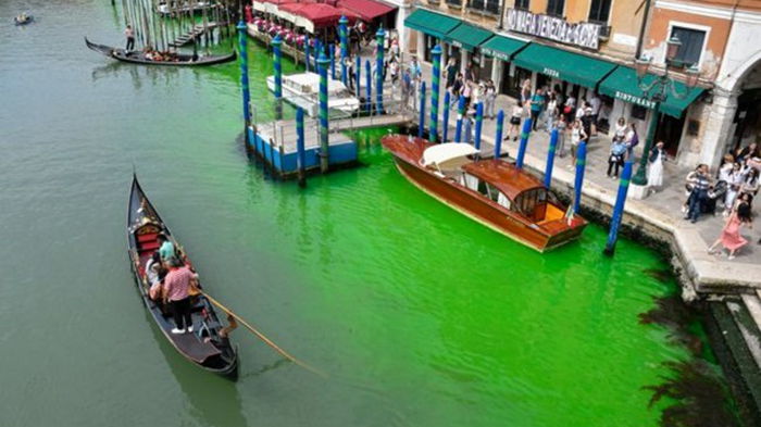 Стало известно, почему в Гранд-канале Венеции вода стала зеленой