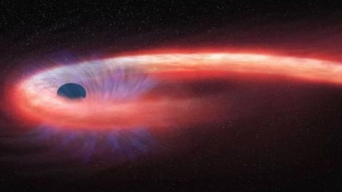 Другая Вселенная. Может быть Земля находится внутри черной дыры: насколько это реально