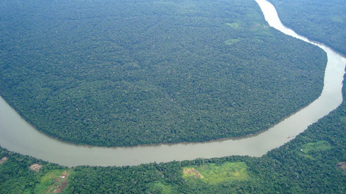 Ди Каприо и Безос пожертвовали $200 миллионов в защиту лесов Амазонки