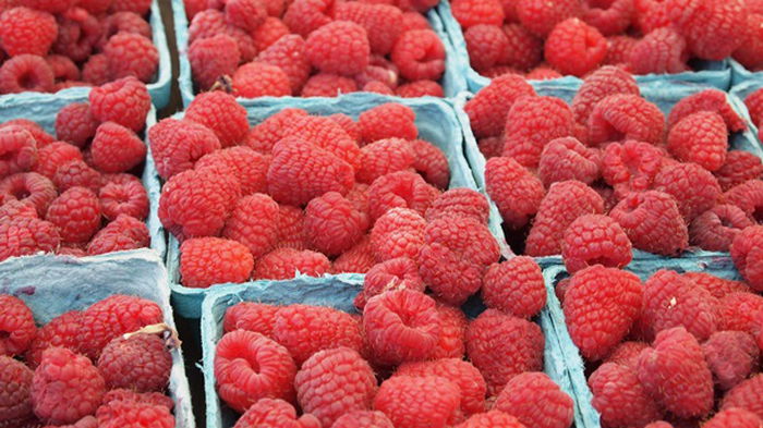В Польше хотят запретить импорт украинских замороженных ягод