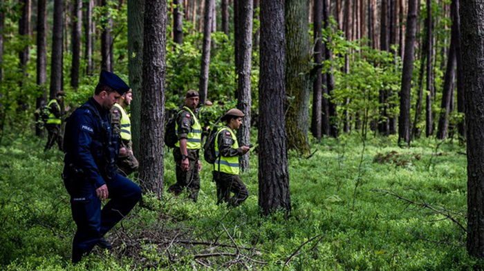 В лесу в Польше упал военный дрон США — СМИ