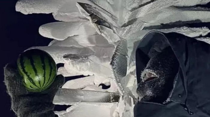 Ученые вырастили арбузы в самом холодном месте на Земле — при -89,2°C (видео)