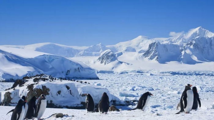 Антарктида потеряла огромный кусок морского льда размером с Гренландию
