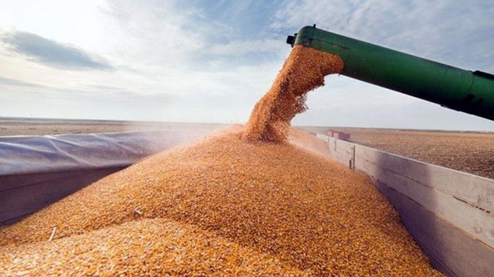 Индия планирует покупать российскую пшеницу со скидкой — СМИ