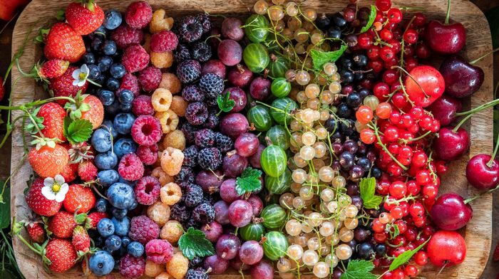 Особенности выбора саженцев ягодных и плодовых кустарников