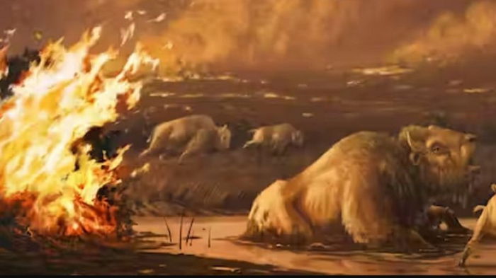 Все повторяется. Древний пожар породил крупнейшее вымирание за 60 млн лет, и это происходит снова