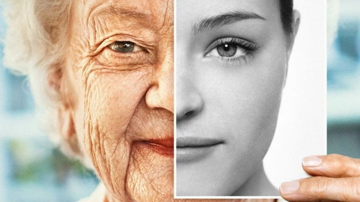 Остановить старение. Наше тело может быть «моложе» нас самих: как это возможно