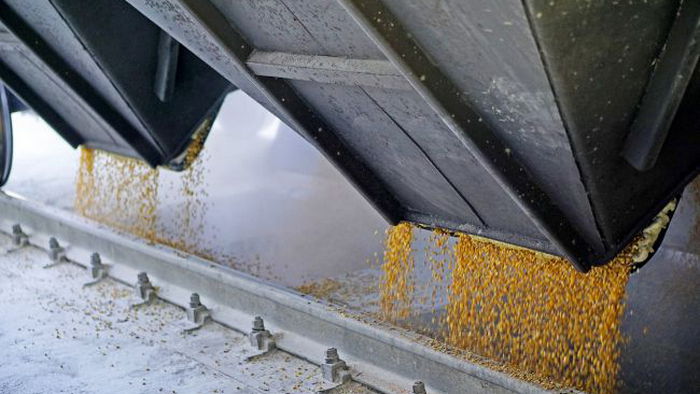 Украина оспорит запрет на импорт зерна в ЕС случае его продления
