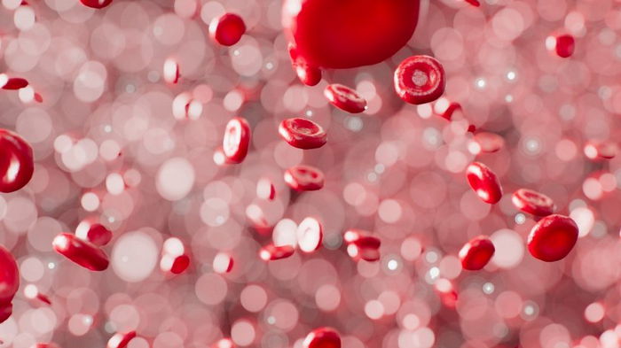Ученые нашли способ ускорять выработку крови нашим организмом