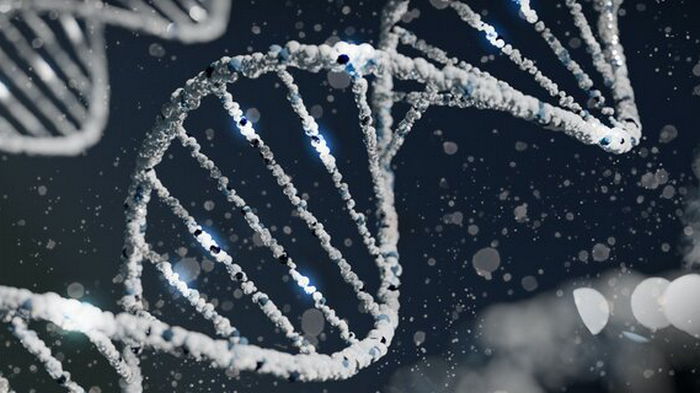Искусственный интеллект Google DeepMind научился прогнозировать генетические заболевания