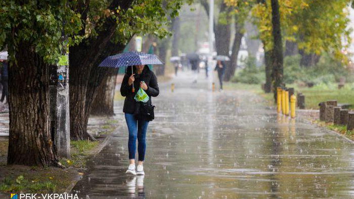 Синоптики предупреждают о дождях и грозах завтра: каких областей коснется непогода