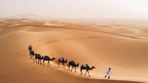 Сахара превращается из песчаной пустыни в зеленый лес каждые 21 000 лет: как это...