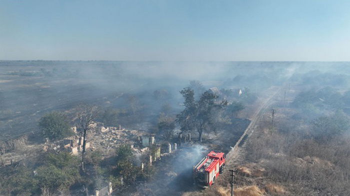 В Николаевской области возникли сразу два пожара в экосистемах