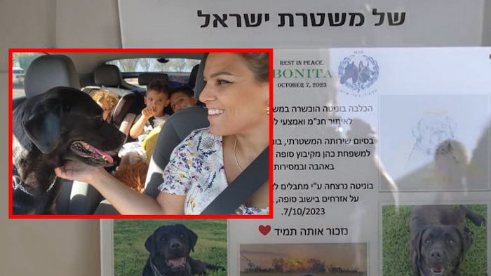 Собака спасла от ХАМАС целую семью ценой собственной жизни: приняла удар на себя