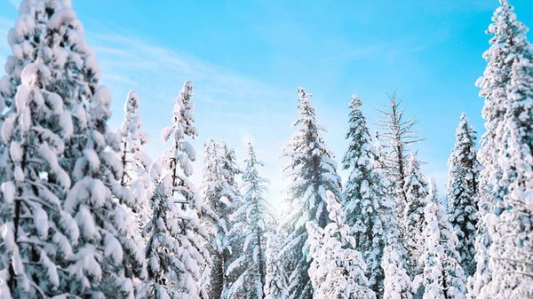Какой будет погода в декабре: Укргидрометцентр дал прогноз на пер...