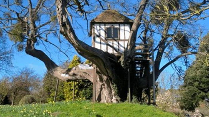 Найден самый старый в мире домик на дереве