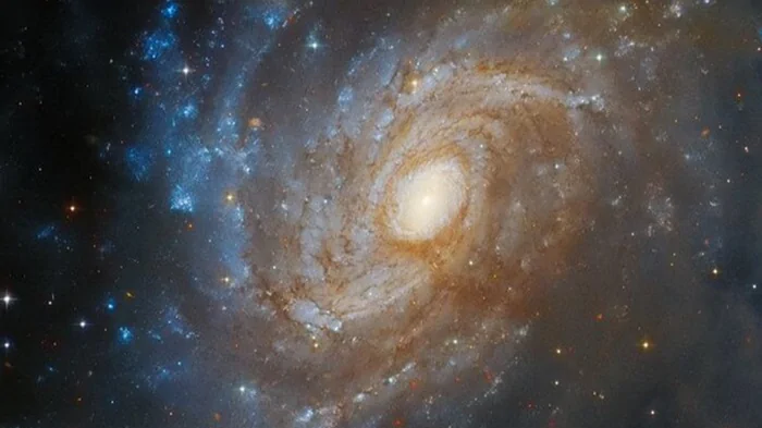 Hubble снял спиральную галактику в созвездии Апуса