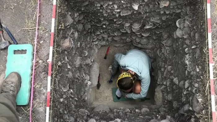 Такого еще не находили: археологи обнаружили самую старую керамику в Австралии (фото)