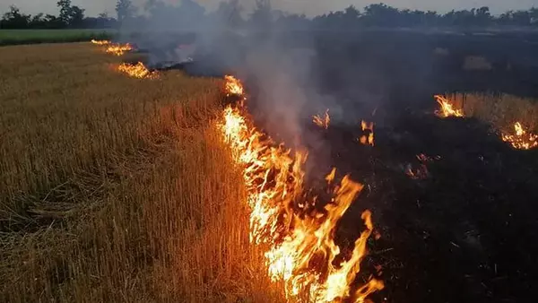 Киевлян предупредили о чрезвычайном уровне пожарной опасности в б...