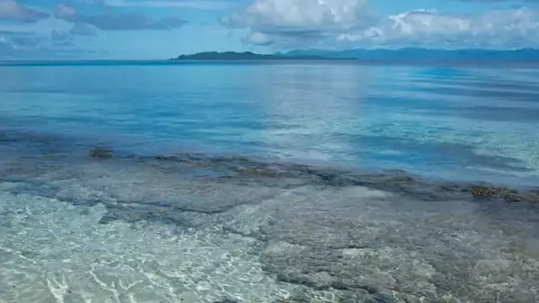 Тысячи лет в Тихом океане исчезают острова: что тащит их на морское дно