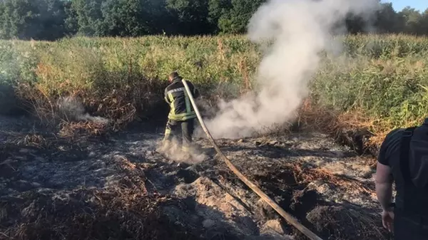 На торфяниках Черниговщины и в лесах Чернобыля продолжаются пожар...