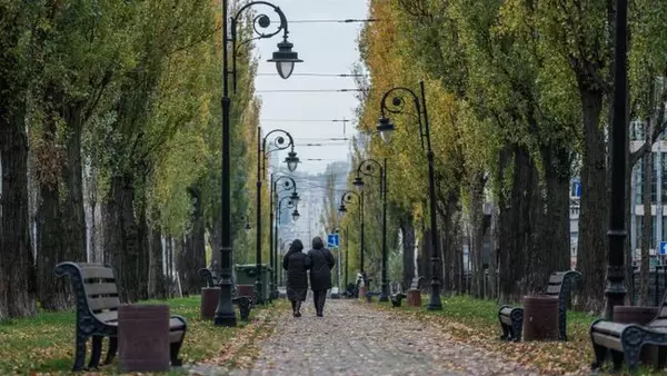 В Киеве ожидаются сильные заморозки: названы даты