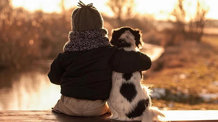 домашние питомцы