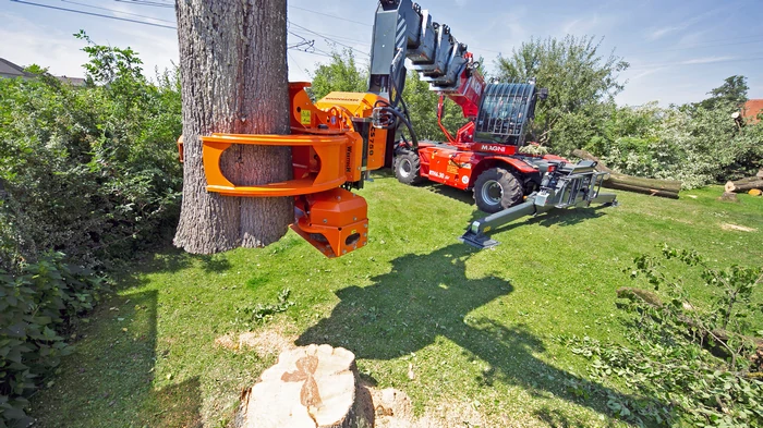 механизированная валка деревьев