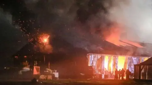 В Нидерландах погибло около тысячи коз во время пожара на ферме